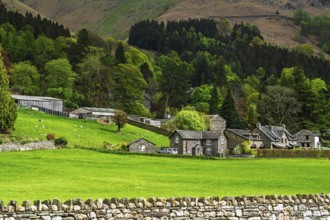 Grasmere Lake, Grasmere, Ambleside, Lake District, Westmorland, Cumbria, England, United Kingdom