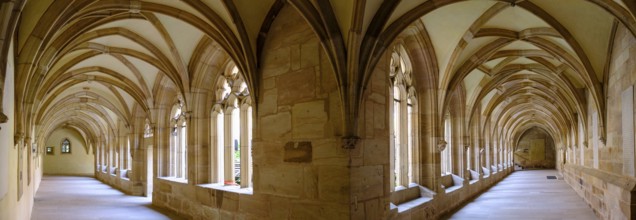 Cloister, former monastery, Langenzenn, Middle Franconia, Franconia, Germany