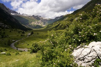 Mountain landscape in the Valle de Otal near Torla-Ordesa, Spain