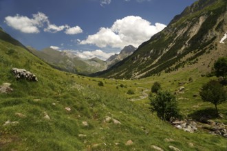 Mountain landscape in the Valle de Otal near Torla-Ordesa, Spain
