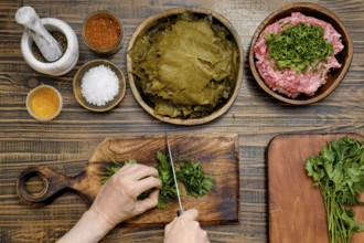 Preparing traditional dolma involves chopping herbs and meat, spreading grape leaves, and mixing