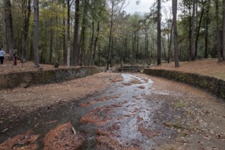 Spillway from Ivy Lake into a stream covered with fallen leaves and pine needles at Clarko State