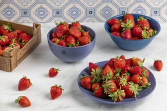 Fresh strawberries arranged in blue crockery on a marble plate
