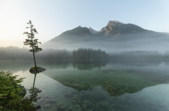 Magical sunrise with fog at Hintersee near Ramsau in Berchtesgadener Land