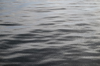 Small waves, sea, sea surface, Baltic Sea