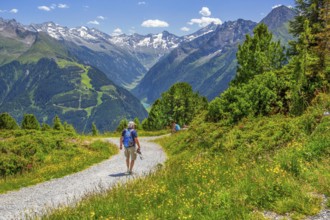 Hiking trail on the Penken with a view of the Stilluptal, Mayrhofen, Zillertal, Zillertal Alps,