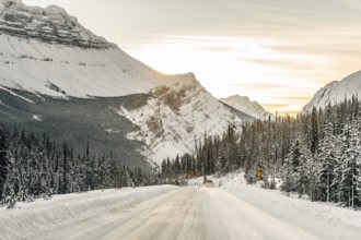 Winter road trip on the Icefields Parkway with lots of snow and ice, Banff National Park, Jasper