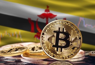 Bitcoin with Brunei flag in the background. Investors in cryptocurrency and Blockchain Technology