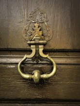 This striking door knocker blends vintage charm with intricate design, placed on a weathered wooden