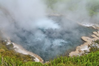Steaming hot spring with blue water surrounded by green vegetation and rocks, Te Manaroa Spring,
