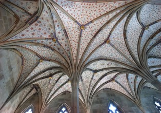 Vaults in the summer refectory, early 14th century, remodelled in the 19th century, Bebenhausen