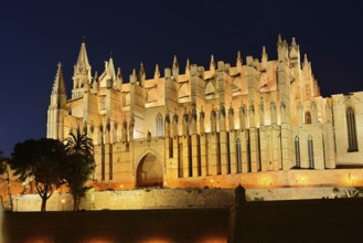 La Seu Cathedral or Cathedral of St Mary, night shot, Palma de Majorca, Majorca, Balearic Islands,