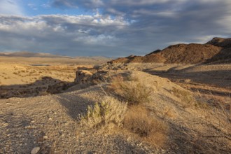 Echo wash drains into the Overton Arm of Lake Mead at Echo Bay, Nevada, USA