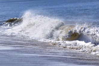Wave, Wenningstedt-Braderup, North Sea, Schleswig-Holstein