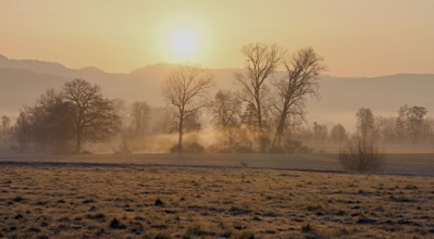 Meadows and trees in the early morning mist in the light of the rising sun, Reusstal, Aristau,