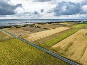 Fields and Grape plantations from a drone, Saint-Clement-des-Baleines, Atlantic, France