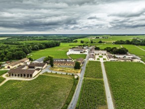 Vineyard of Chateau Branaire-Ducru from a drone, Saint-Julien-Beychevelle, France