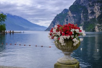Flower amphora, Punta Lido, promenade, spa gardens, Riva del Garda, Lake Garda, Trentino,