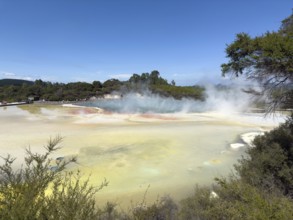 Champagne Pool at the Waiotapu Thermal Track in the colourful geothermal area of Waiotapu Thermal