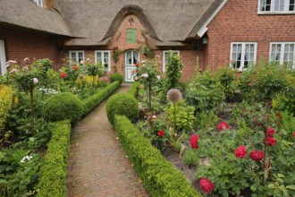 Thatched house with front garden, St. Peter-Ording, Eiderstedt peninsula, North Frisia,