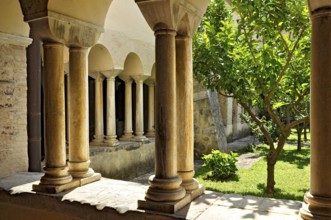 Romanesque columns, double columns in the cloister, Gothic basilica of the Cistercian Abbey of