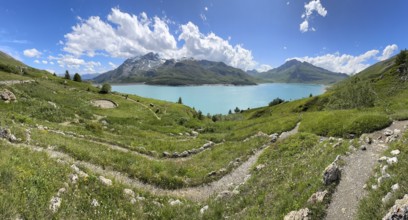 Panoramic view of Jardin Alpin in the foreground, Lac du Mont Cenis reservoir behind, Mont Cenis