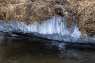 Permafrost, ice below the surface, Aventdalen, Longyearbyen, Spitsbergen, Svalbard