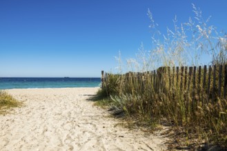 Sandy beach beach, Plage de Tahiti, Saint Tropez, Var, French Riviera, Provence-Alpes-Cote d'Azur,