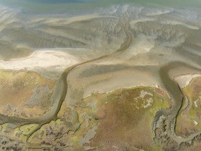 Marshes and streams at low tide in the Walvis Bay Lagoon. Aerial view. Drone shot. Namibia