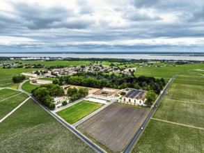 Chateau d'Armailhac Vineyard and grape fields around Pauillac and Gironde Estuary from a drone,
