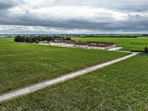 Chateau Pontet-Canet Vineyard and grape fields around Pauillac and Gironde Estuary from a drone,