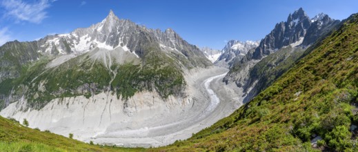 Panorama, Picturesque mountain landscape with blooming alpine roses, imposing mountain peaks and