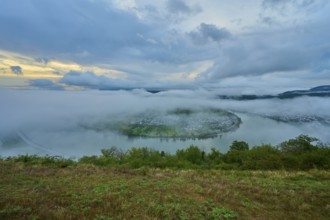 River island in the mist and twilight, surrounded by mystical clouds, summer, Rhine bend Boppard,