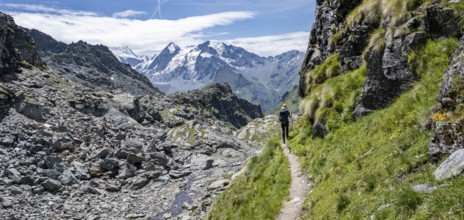 Mountaineer on hiking trail in mountain landscape, descent at Col du Louvie, view of the summit of
