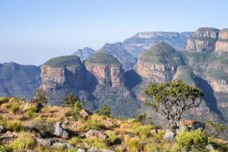 Blyde River Canyon with Three Rondawels peak, view of canyon and table mountains, canyon landscape,