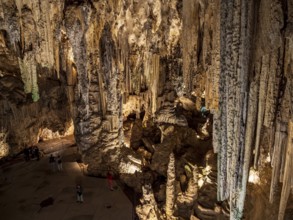 Cueva de Nerja, illuminated cave, large stalagmites and stalagtites, Nerja, Andalusia, Spain
