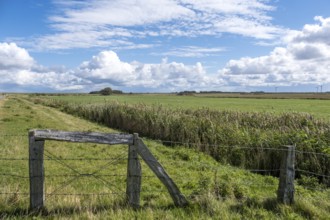 Tranquil rural landscape with expansive sky and clouds, meadows and an old fence in the foreground,