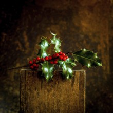 A branch of Christmas holly featuring vibrant red berries and shiny green leaves is elegantly