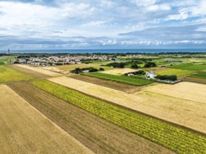 Fields and Grape plantations from a drone, Saint-Clement-des-Baleines, Atlantic, France