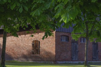 View through two chestnut trees to a part of a barn, Böhme, Heidekreis, Rethem Aller, Leine Aller