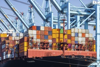Container ship Tihama from Hapag Lloyd. With a length of 400 metres, the ULCV is one of the largest