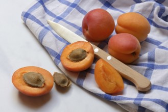 Apricot, sliced apricots on cloth, Prunus armeniaca