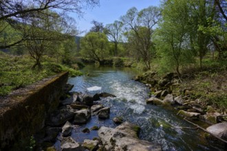 A tranquil river landscape with green trees and stones lining the banks, spring, Burgsinn, Sinntal,