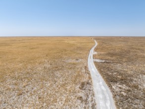 Sandy track through wide dry landscape with yellow grass, Sowa Pan, Makgadikgadi salt pans,