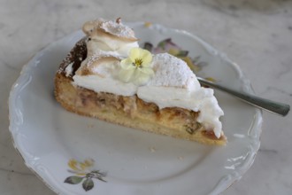 Piece of rhubarb pie, Bavaria, Germany