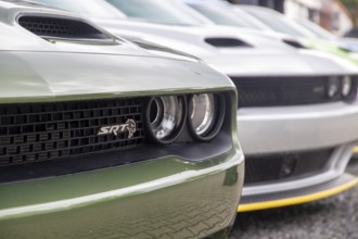 Dodge Challenger for sale at the dealer in Mannheim