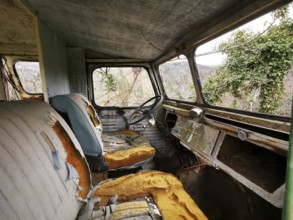 An abandoned truck interior shows worn-out seats and a dusty dashboard, surrounded by creeping