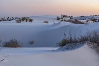 Gypsum dunefields at White Sands National Monument located within the Chihuahuan Desert and the