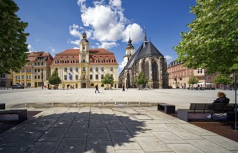 Baroque town hall, Protestant late Gothic St. Mary's Church, town church, and Mohren Pharmacy,