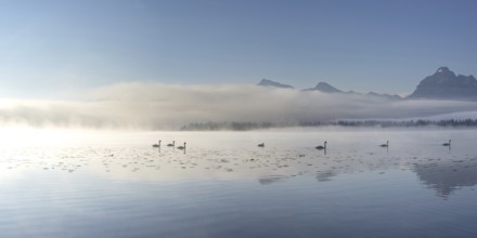 Sunrise at Lake Hopfensee near Füssen, with the Tegelberg massif and the Säuling behind it,